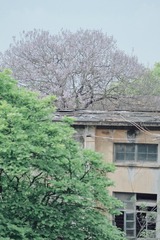 0F12DAB8-CB51-4D97-A376-E95563C07853/L0/001