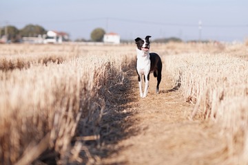 D6FF1BD2-2009-424D-B8A0-220828473D63/L0/001