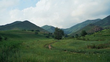 00244DDD-8F84-45E0-90AC-F5EC45C70A03/L0/001