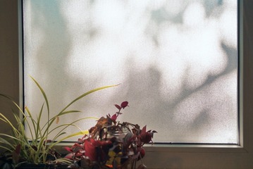 F8759801-1270-4FEF-BB96-F8CAE3E3B4F3/L0/001
