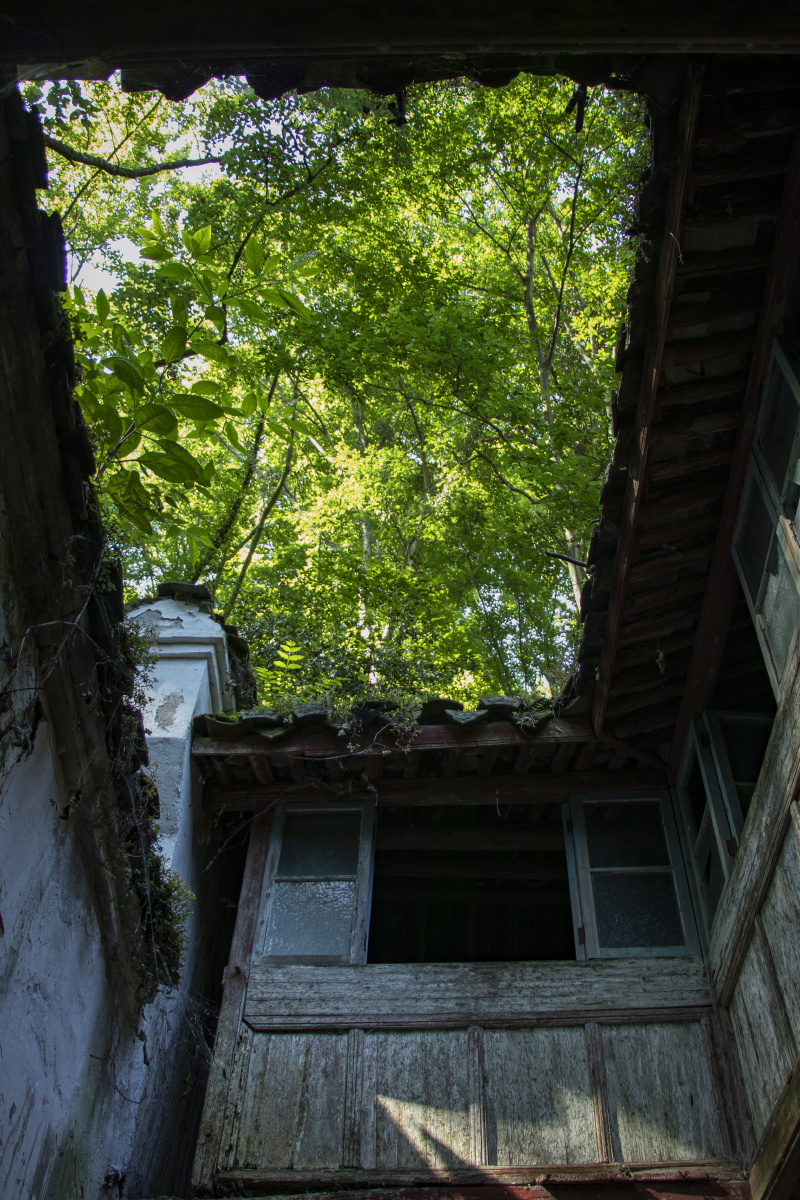 遂昌含晖洞三台寺小游
