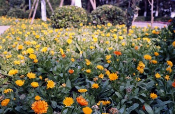 test1-12