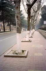 test1-18
