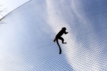IMG_6209-2