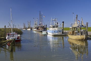IMG_4962_副本.jpg