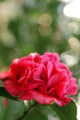 xDSC_0019.jpg