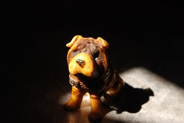 DSC_0041.JPG