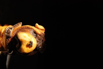 DSC_0047.JPG