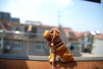 DSC_0059.JPG