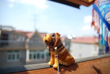 DSC_0060.JPG