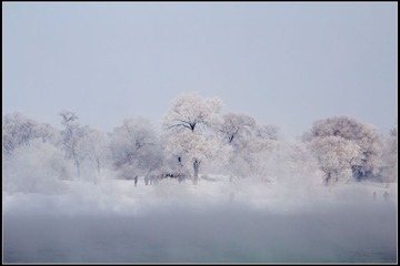 IMG_5500.jpg