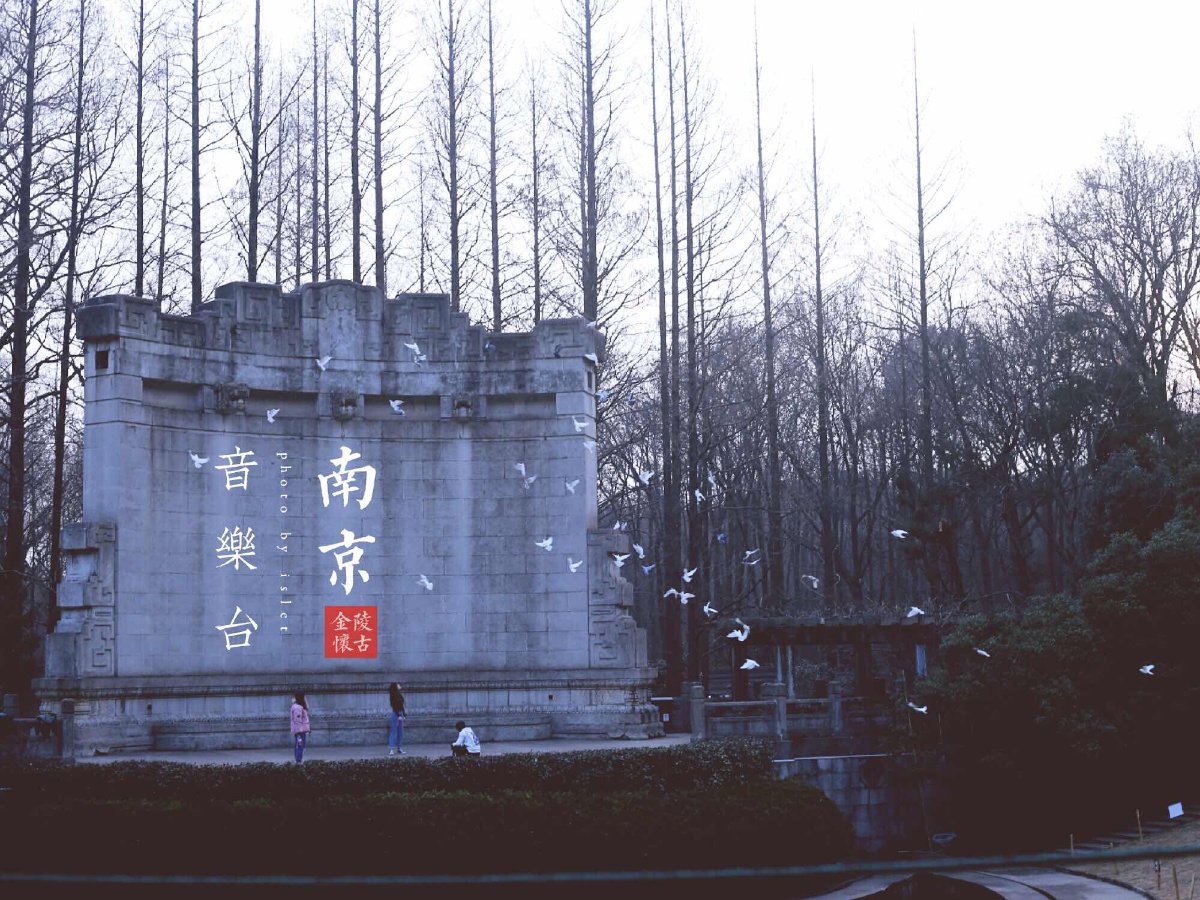 南京音乐台白鸽的冬天