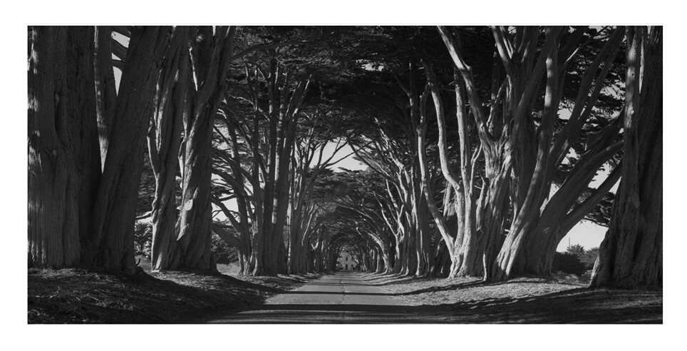 Point Reyes 国家海岸保留地 美国 加州