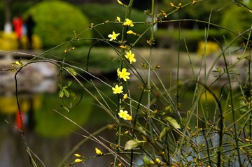 DSC04296.JPG