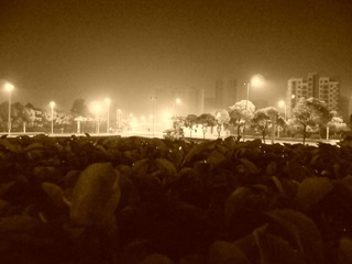 那一夜，大地乐章 (1)