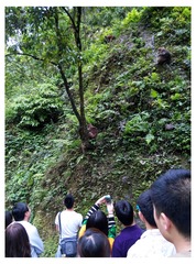 人与猴 (2)