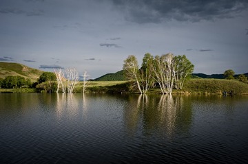 DSC_2447-2.jpg