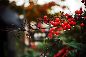 4F269513-A831-444B-A0A3-FAA5260D84DB/L0/001