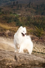 20130127-DSC03132.jpg