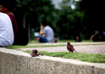 IMG_0638.JPG
