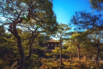 JUZ_0093-编辑
