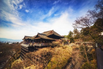 JUZ_0227-编辑