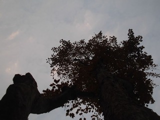 DSCF1862.JPG