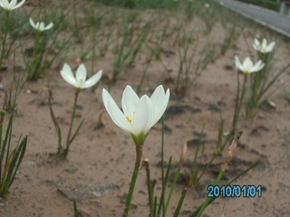 IMG_3599.JPG