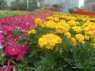 IMG_3993.JPG