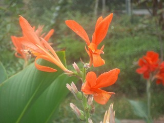 IMG_4140.JPG