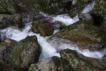 IMGP4307.JPG