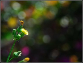 DSC_1234.jpg