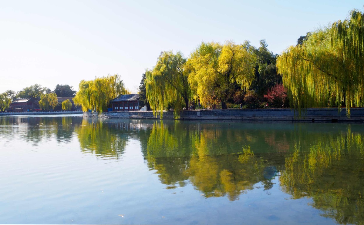 秋色如水看风景的人北京市北海公园