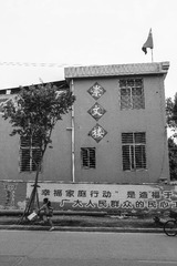 IMG_4865_1.jpg