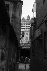 IMG_4639_1.jpg