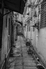 IMG_4653_1.jpg