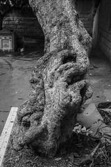 IMG_4704_1.jpg