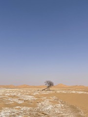 14F0BA68-5795-44C4-8A7F-31103E2F2703/L0/001