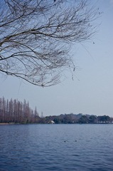 西湖-2.jpg