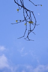 玉泉-2-6.jpg