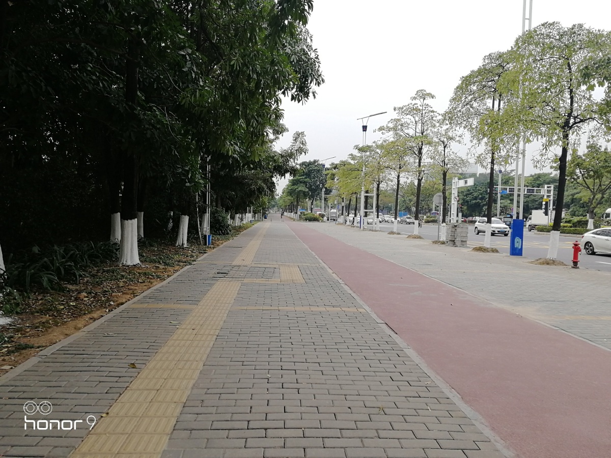 上班路