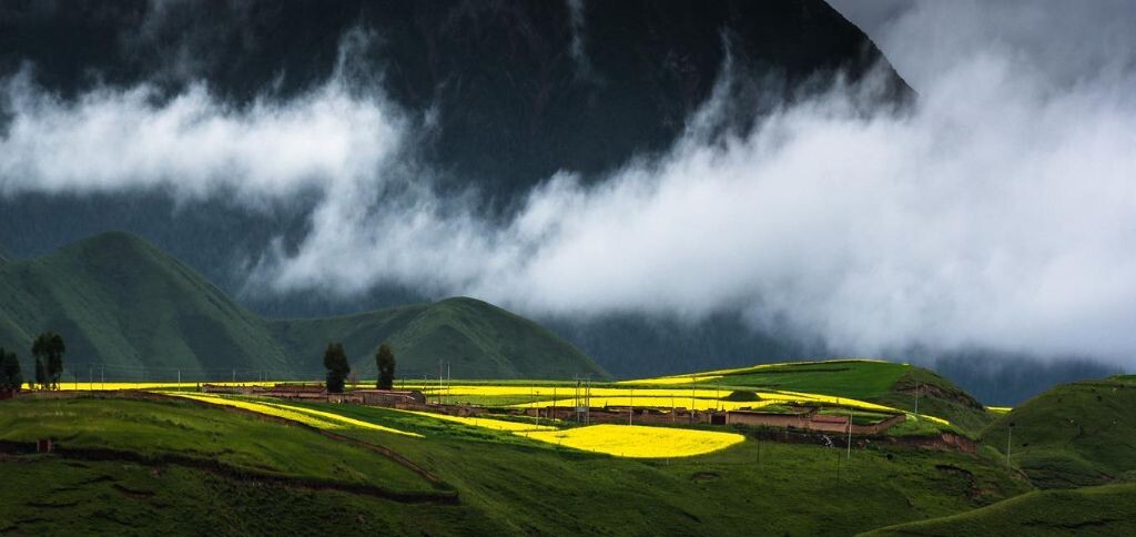 路边的美景