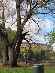 AC437AB5-D1E8-4845-B02F-D51B0B22D0A1/L0/001