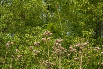 _DSC0352