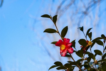 _DSC0026