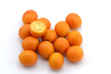 _JFP7491