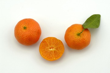 _JFP7130