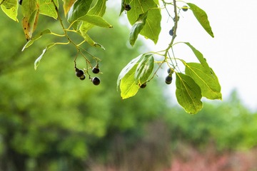 _DSC0062
