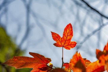 _DSC0195