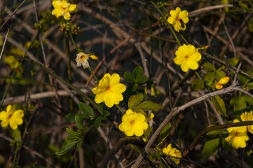 _DSC0256